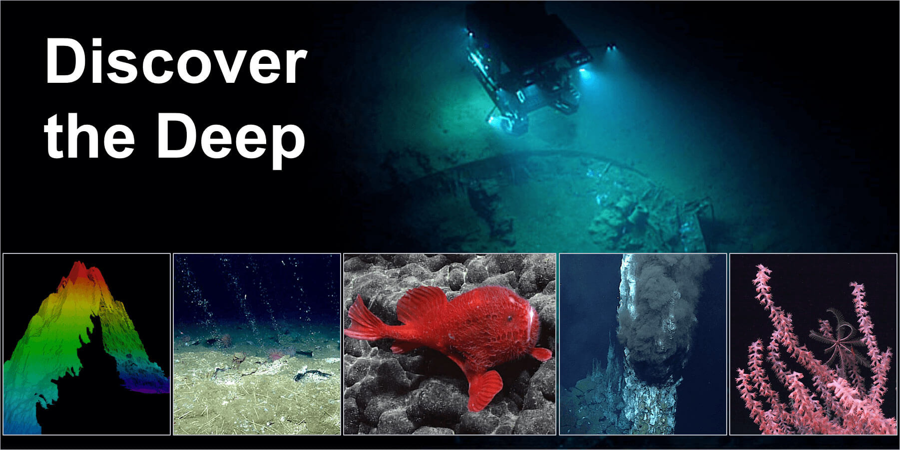 Discover the Deep