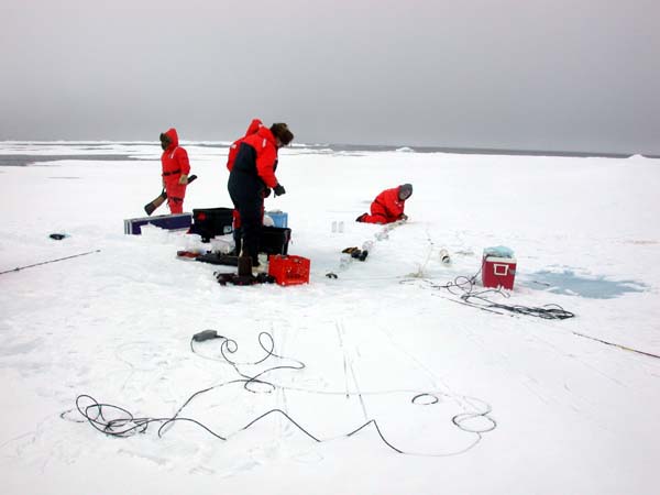 sampling plankton