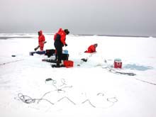 sampling plankton