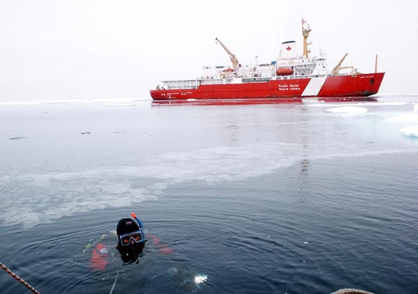 Ice-diver, Wayne Smith