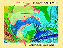 Brine Pool and other brine lakes in the Gulf of Mexico