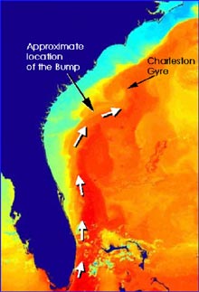 Path of the Gulf Stream easily identified in this map.