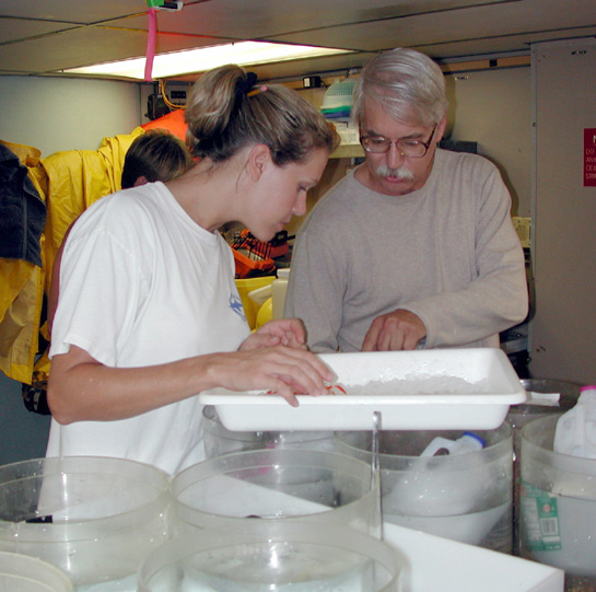 Scientists examine the catch from a recent neuston net tow