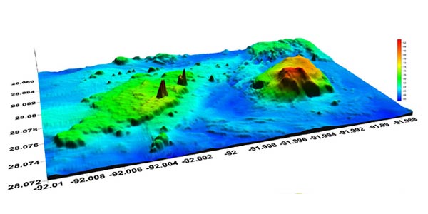 Alderdice Bank features two towers of basalt over 60’ tall, and one large elevated region to the east, featuring sponges, gorgonians, and leafy green algae.