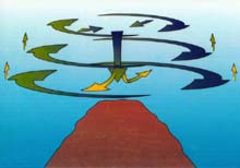 Diagram of circulation around a seamount that retains larvae