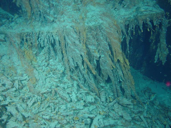 Titanic detached rusticles below port side anchor.