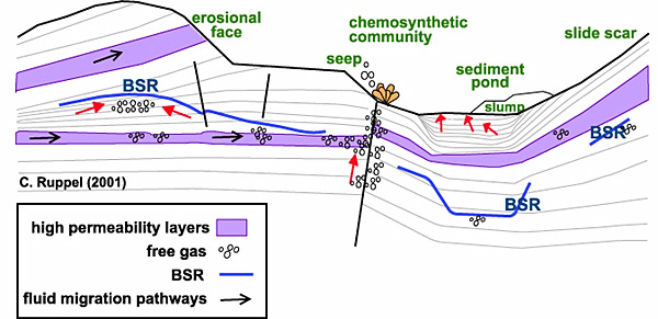 Schematic diagram depicting the dynamics of a gas hydrate reservoir