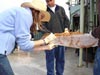 Scientist collects mucus from a large bamboo coral specimen.