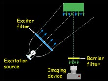 fluorescence equipment