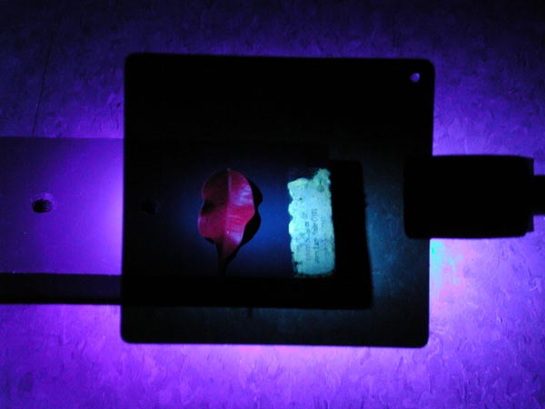 A schematic of the equipment used to detect fluorescence.