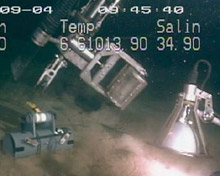 The mechanical arm of the Johnson-Sea-Link places a baited benthic trap on the seafloor, just outside the brine pool.