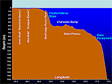 Bottom profile along the Latitude 31-30 Transect