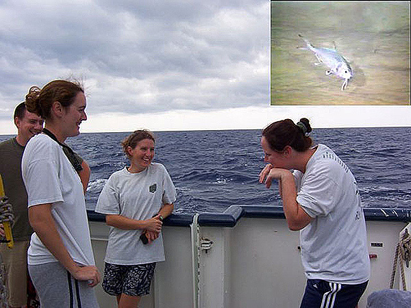 Christina Ralph describes the beardfish she observed during her dive