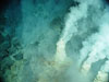 White chimneys at Champagne vent site, NW Eifuku volcano.