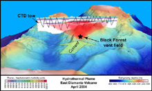 A perspective view of the several eruption cones inside the East Diamante caldera