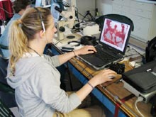 Anne Simpson reviews coral images on the laptop computer. Image courtesy of L. Arnold.