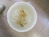 A feather star and brittle star share a bucket of ice-cold water with the coral sample they were attached to. 