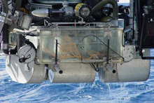 Figure 2:  A specimen of  Keratoisis bamboo coral inside the collection box of the Johnson-Sea-Link submersible, rising to the surface.