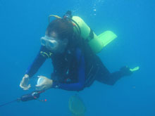 Marine biologist Sönke Johnsen uses jars to collect pelagic zooplankton