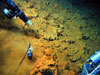 The suction sampler on Pisces V (upper left) vacuums up some orange microbial mat.