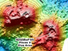 Map view of submarine Volcano-W. The Pisces V dive area indicated on the SE caldera.