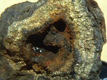 A sliced piece of hydrothermal vent structure reveals some of the different minerals that compose the vent wall.