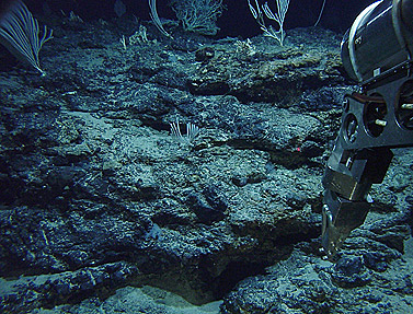  Serpentinite outcrop at Lost City