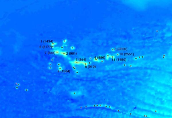 Corner Rise seamount cluster