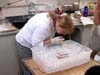 Paula Carlton, Teacher at Sea, examines specimens in the Bio/Analytical Lab on the Ronald H. Brown.