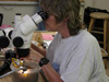 Susan Mills examines a settlement block under a microscope.