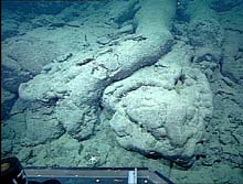 These are typical pillow lavas, which form near the outer edges of lava flows