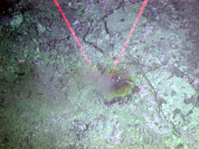 A pot of molten sulfur bubbles out of the seafloor in this area of sheets of sulfur crust.