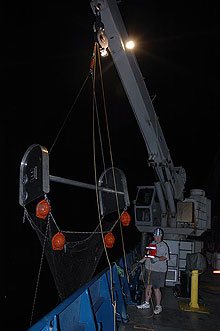 beam trawl