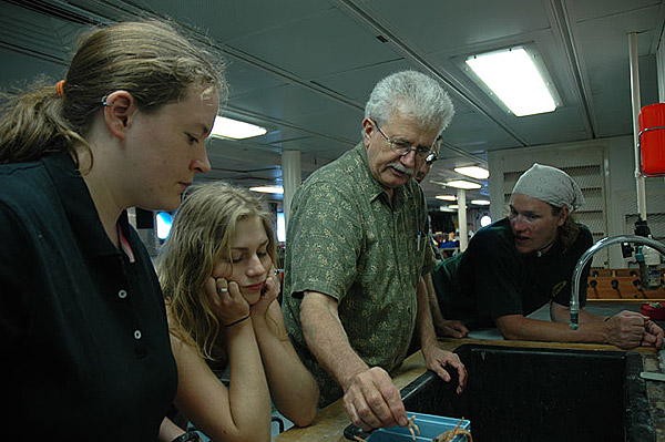 examining specimens