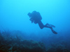 A more recent version of the rebreather allows this diver to swim over a Caribbean reef without bubbles.