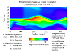 Map of dissolved oxygen made by the Fetch1 AUV performing a 'yo-yo' maneuver over a coral reef in Florida.