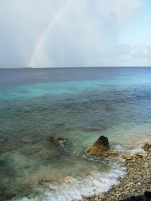 After a few showers, a brilliant rainbow emerges.