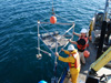 Scientist prepare to deploy a tripod near the Middle Island Sinkhole.