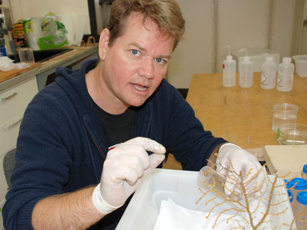 Dr. Peter Etnoyer explains sampling techniques for deep-sea octocoral specimens.