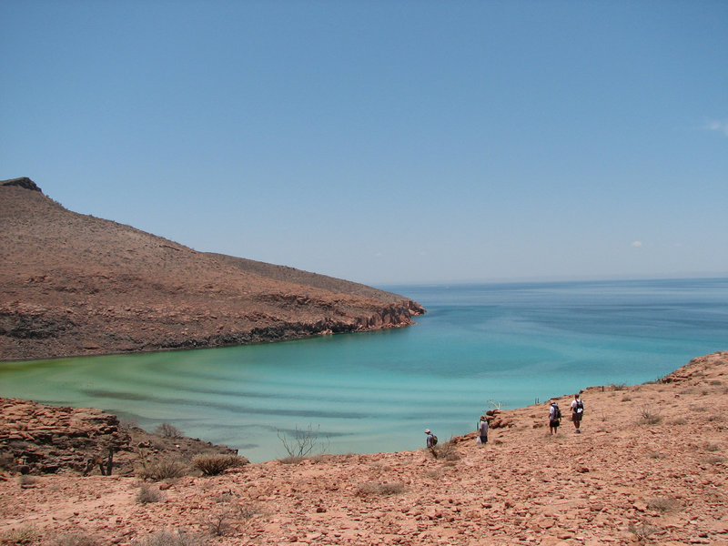 Members of the field crew hike down to the beach at Ballena Bay after excavating J69E, an 11,200-year-old archaeological site on Isla Espiritu Santo.