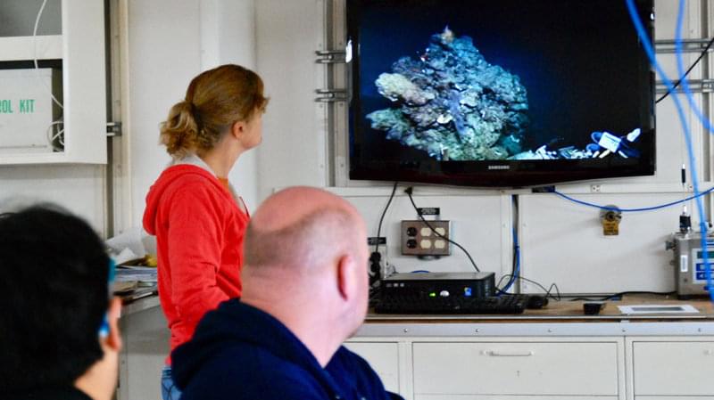 Monitoring the ROV’s pan and tilt science camera feed from the main lab.