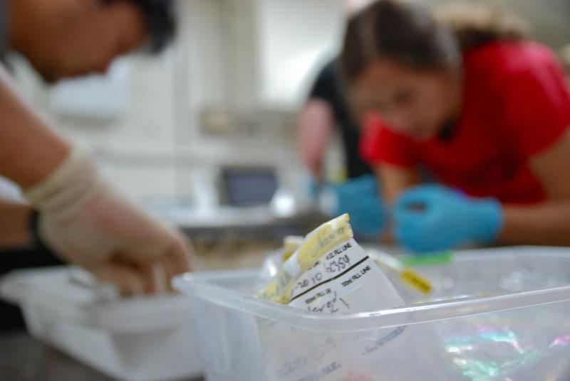 Throughout the day scientists and grad students ready the samples for transport back to the labs on land.