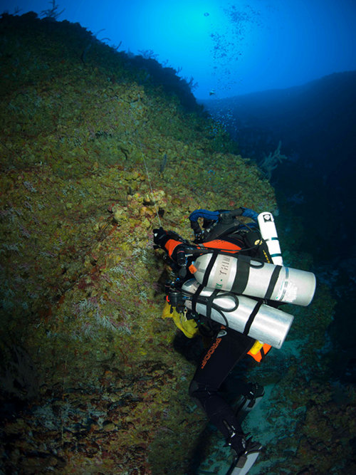 Tom (still) reeling back up to anchor line at 200 foot depth.