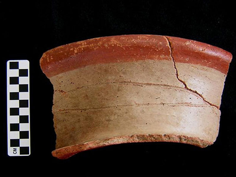 Caroline Bichrome Sherd