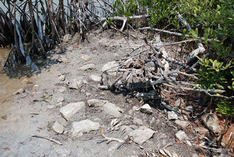 Just a pile of stones near the shore? Or an ancient Maya dock?