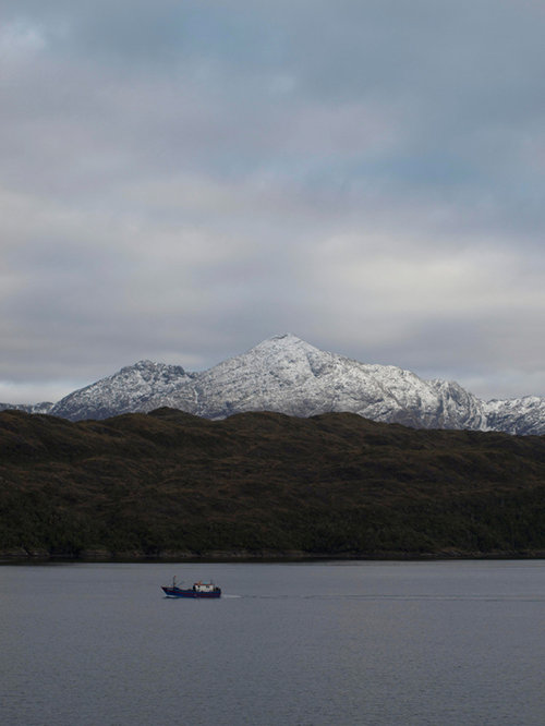 Fishing Boats