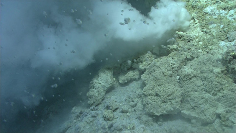 Carbon dioxide released into the water column as small droplets of liquid at Niua North.