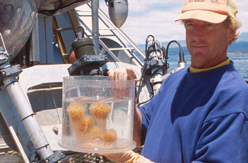 Marine Taxonomist