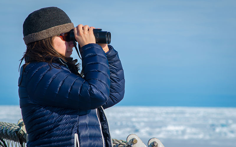 Elizabeth Labunski notes the behavior of a black guillemot at one of our science stations in the Chukchi Borderlands.