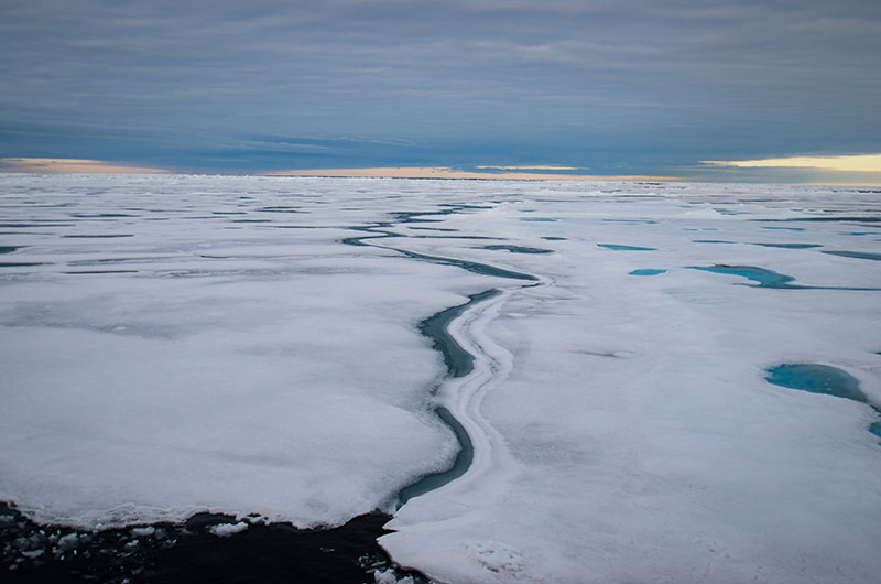 Isotopes are everywhere and can help scientists map intricate food webs. It is essential that the Arctic food web is better understood as the climate continues to change.